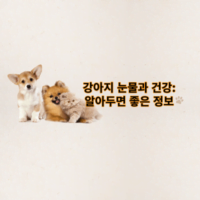 강아지 눈물과 건강: 알아두면 좋은 정보