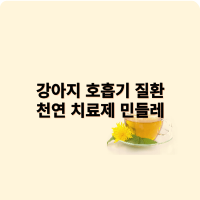 강아지 호흡기 질환 천연치료제 민들레