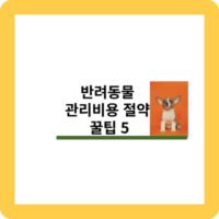 반려동물 비용 절약 꿀팁 5