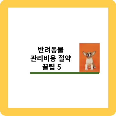 반려동물 비용 절약 꿀팁 5