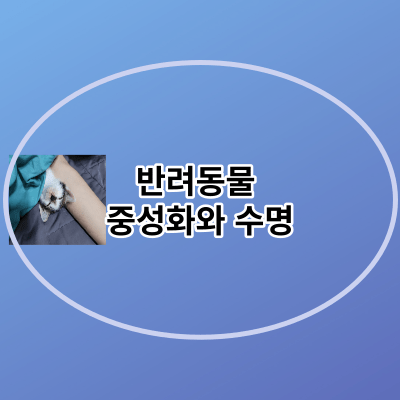 반려동물 중성화와 수명
