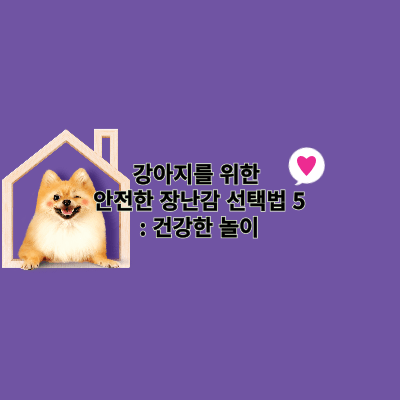 강아지를 위한 안전한 장난감 선택법 5: 건강한 놀이