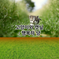 고양이와 캣닢: 행복하 냥