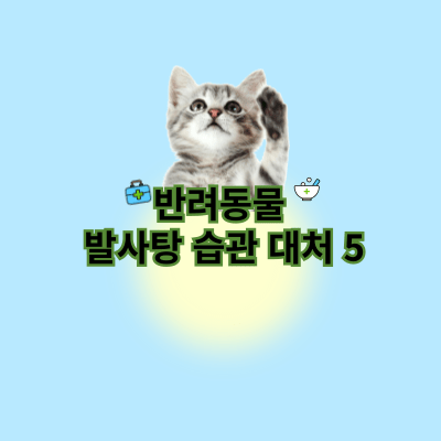 반려동물 발사탕 핥는 습관 대처 5