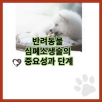 반려동물 심폐소생술의 중요성과 단계