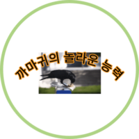 까마귀의 놀라운 능력: 자연의 뛰어난 전략가