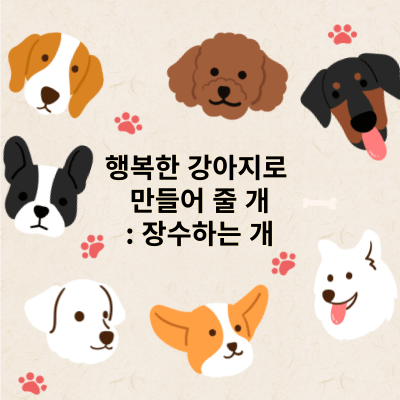 행복한 강아지로 만들어 줄 개: 장수하는 개