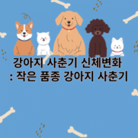 강아지 사춘기 신체변화와 작은 품종 강아지 사춘기