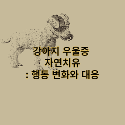 강아지 우울증 주요증상