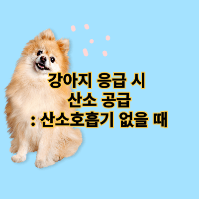 강아지 응급 시 산소 공급: 산소호흡기 없을 때