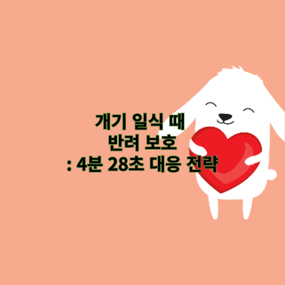 개기 일식 때 반려 보호: 4분 28초 대응 전략