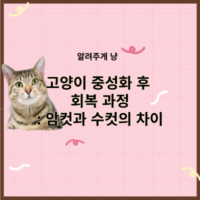 고양이 중성화 후 회복 과정: 암컷과 수컷의 차이