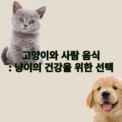 고양이와 사람 음식: 냥이의 건강을 위한 선택