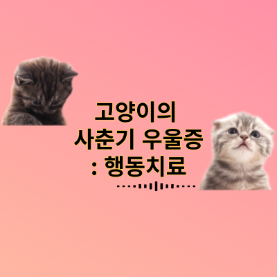 고양이의 사춘기 우울증: 행동치료