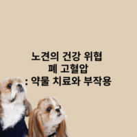 노견의 건강 위협 폐고혈압: 약물 치료와 부작용