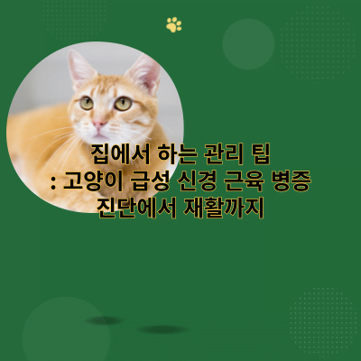 집에서 하는 관리 팁: 고양이 급성 신경 근육 병증 진단에서 재활까지