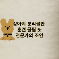 강아지 분리 불안: 전문가의 조언