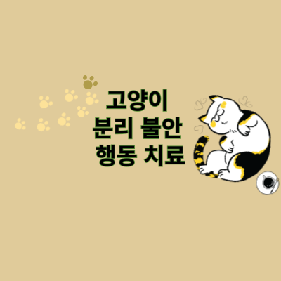 고양이 분리 불안 행동 치료: 환경 조성 방법