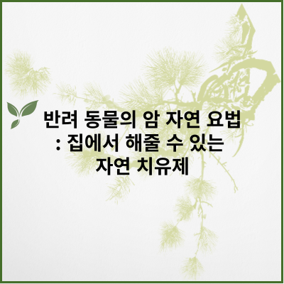 반려 동물의 암 자연 요법: 집에서 해줄 수 있는 자연 치유제