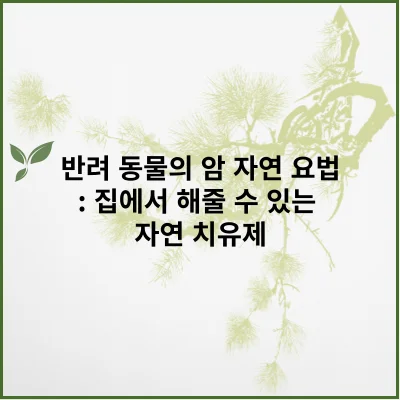 반려 동물의 암 자연 요법: 집에서 해줄 수 있는 자연 치유제