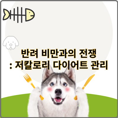 반려 비만과의 전쟁: 저칼로리 다이어트 관리