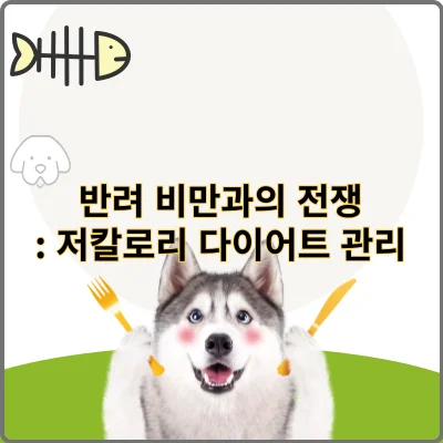 반려 비만과의 전쟁: 저칼로리 다이어트 관리