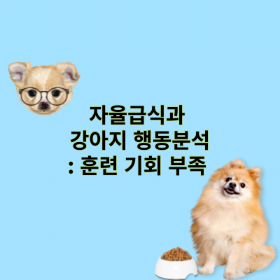 자율급식과 강아지 행동분석: 훈련 기회 부족 문제